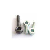 Made in China Eye Bolts