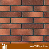 Clay Tile, Exterior Wall Tile Decoration (WRS2473)