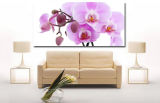 Stretched Flower Photos Prints on The Canvas Arts