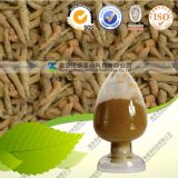 Factory Supply Panax Notoginseng Extract/ Sanqi Extract