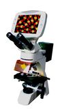 Med-L-DMS-855 Compound Digital LCD Fluorescence Microscope