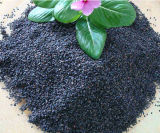 Hot Sale! ! ! Fresh Natural Black Sesame Seeds