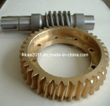 China Brass Machined Worm Gears with Wheel Gear Manufacturer