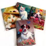 3D Notebook