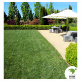 Excellent Environment-Friendly Synthetic Grass Carpet Artificial Turf6321