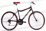 Alloy Frame Professional MTB City Bike MTB City Bike for Dirt Road (HC-TSL-MTB-31608)