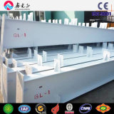 Steel Structure / Profile Steel / H Beam (XGZ-6)