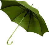 Manual Open Green Frame&Handle Straight Umbrella (BD-64)