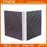 Combi (5+6) Core Brown Film WBP Glue Plywood