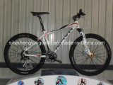 Alloy Good Bicycle with Best Price (SH-AMTB024)