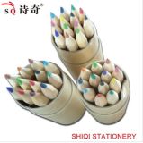 Promotion Colored Pencil School Supply