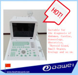 Latest Portable Full-Digital Medical Equipment--Dw360