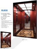 Sicher Elevator China Top Elevator Company