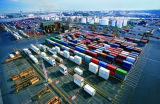 Sea Freight Agency