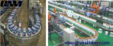 Box Conveyor System for Box/Case/Pallet/Tray with SGS/ISO9001