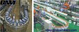 Box Conveyor System for Box/Case/Pallet/Tray with SGS/ISO9001