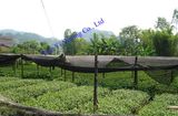 UV Protection Shade Net (AN090S-AN250S)