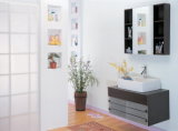 Bathroom Cabinet (LS-7005A)
