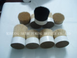 Provide High Quality Bristle for Brush