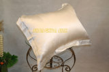 Natural Silk Pillow (YUN-SP-018)
