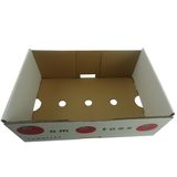 Fresh Fruit Packaging Box (FP4144)