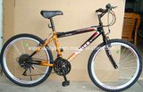Bicycle (WT-2634)