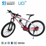 2013 Electric Bicycle