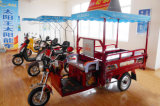 Hot Sale Pakasitan Solar Cargo Tricycle