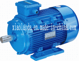 4kw Motors with CE Approved (Y2-112)