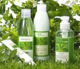 Shampoo & Body Care Collection with Green Tea Essence OEM