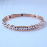 2012 Hot Stainless Steel Bangles (HBNB00002)