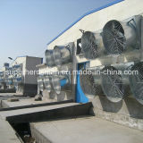 Ventilation System (Exhaust Fan for Poultry Equipment/Livestock Equipment)