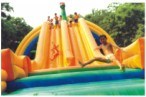 Inflatable Slide (QQ12213-5)