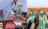Shipping Cargo From China to South America Logistics