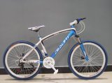 MTB Mountain Bicycle with Low Price Good Quality From Factory (AFT-MB-063)