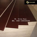 China Factory Sale Film Faced Plywood Construction Plywood