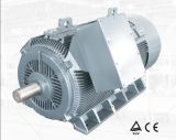 Y2 Low Voltage High Output Electric Motor 400kw