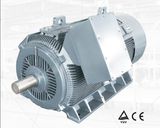 Y2 Low Voltage High Output Electric Motor 400kw