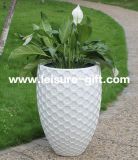 Fo-319 Fiberglass Flower Egg Plant Pots