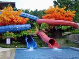Outdoor Backyard Pool Water Slide