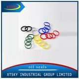 Rubber O-Ring