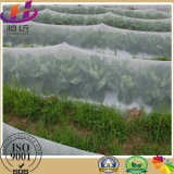 100% Virgin HDPE Agriculture Anti Insect Netting