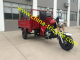 150cc Cargo Tricycle with EEC Certification (TR25')