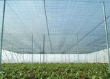 UV Protection Agriculture Net (AN085W)