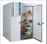 Deep Freezer Fish Cold Storage