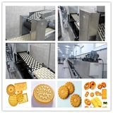 Soda Cracker Making Machine