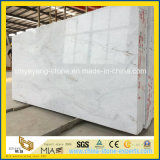 New Arrival Castro White Marble Material for Floor/Wall Decoration