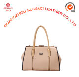 Fashion Luxury Leather Frame Pillow-Top Case Handbag (GUS14D-100-4)
