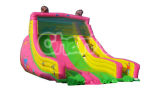 Cheap Commercial Inflatable Cartoon Slide for Amusement Park CB277