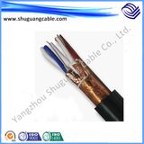 Fire Resistant/Fireproof/Fr/XLPE/PVC/PE/Armored/Shielded/Instrument Computer Cable